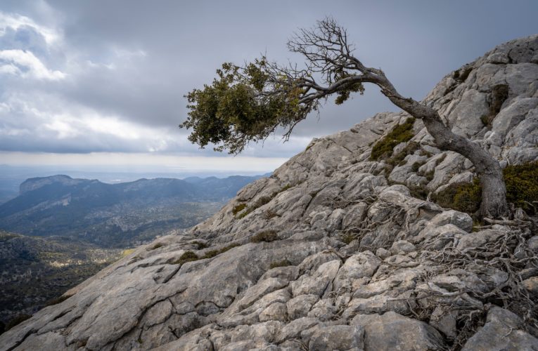 League City: The Importance of Resilience in Overcoming Trauma